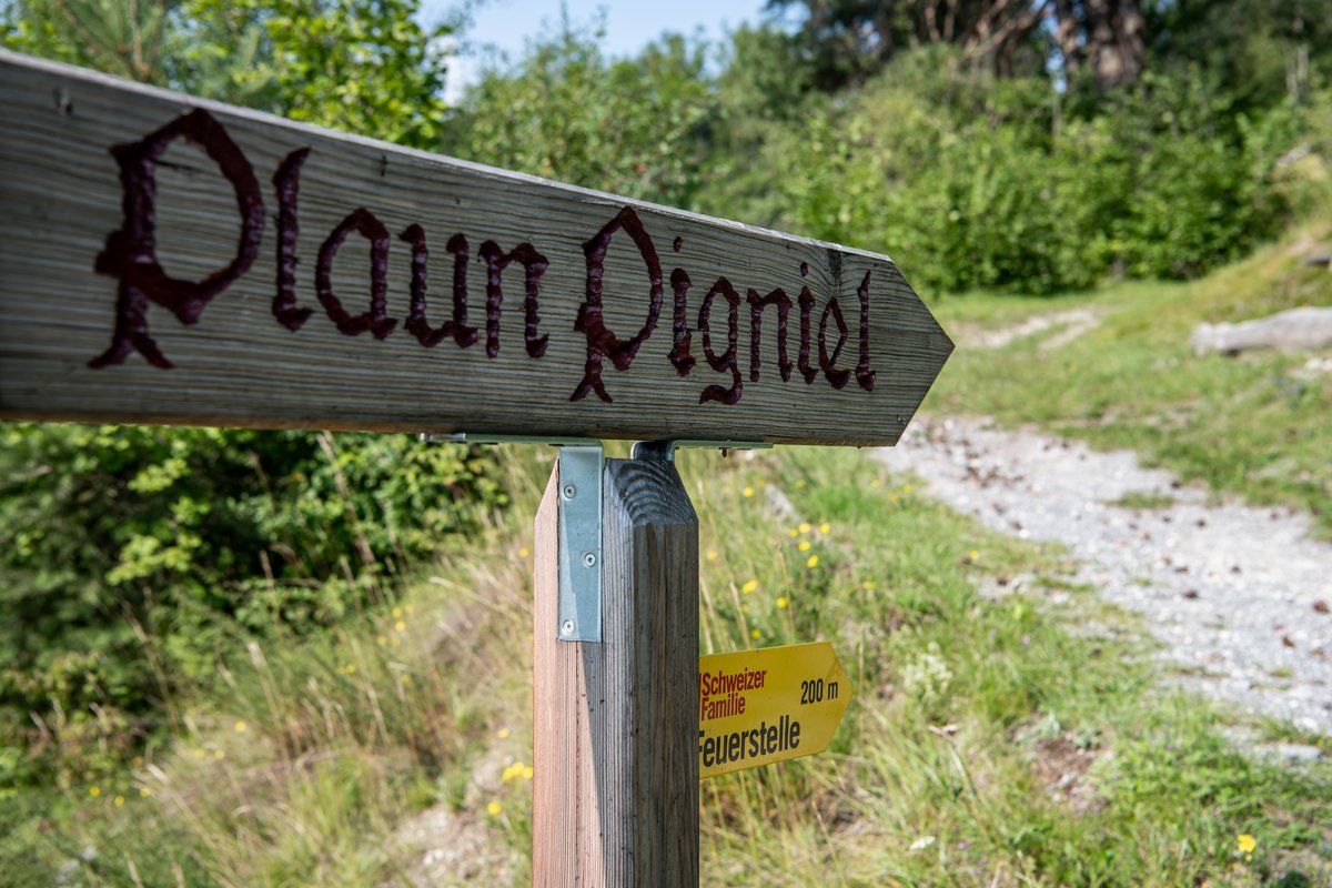 © daniammann.com